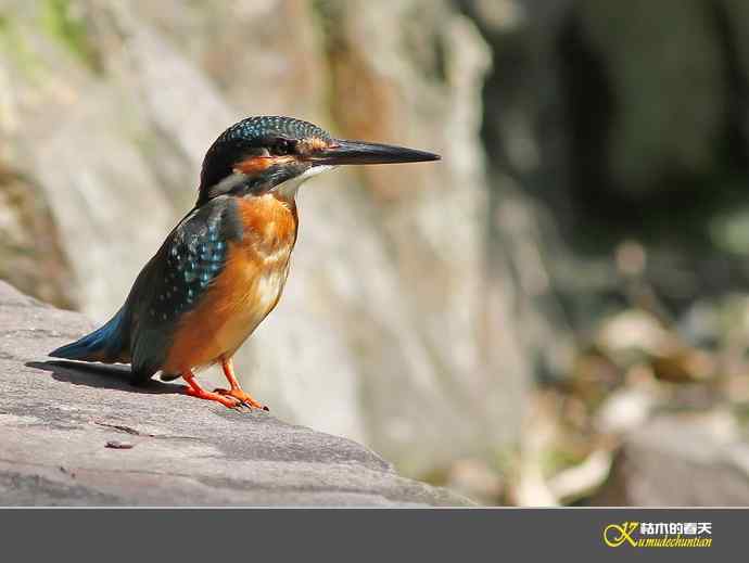 鈥溋宋泡衡澟拟溞〈溻潯臼蹬摹