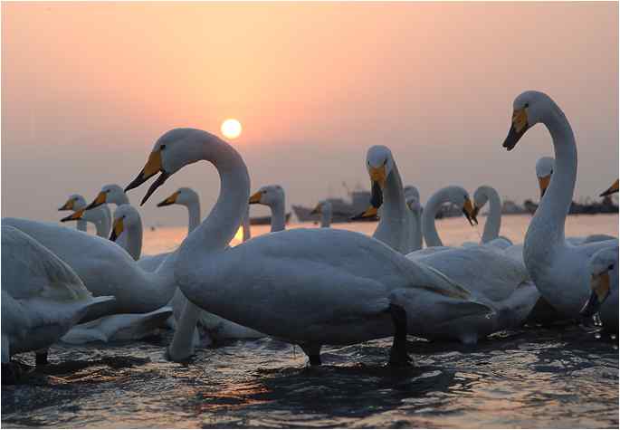 点击图片或使用键盘← →翻页