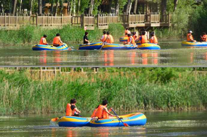 为白河湾鹮嘴鹬的生存环境担忧