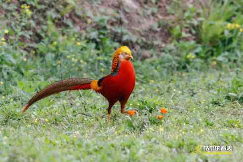 发一组鈥満旄菇跫︹