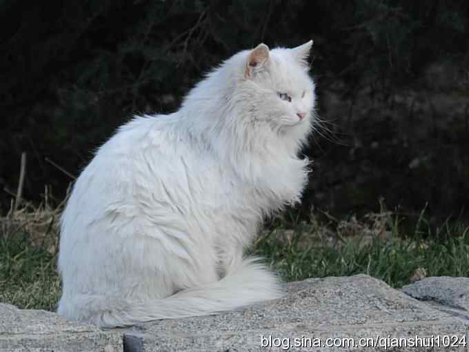 今日太平(植物园)
