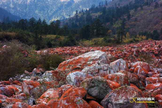 神奇的“红石滩”