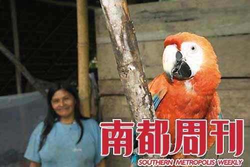 厄瓜多尔雨林：鹦鹉墓地