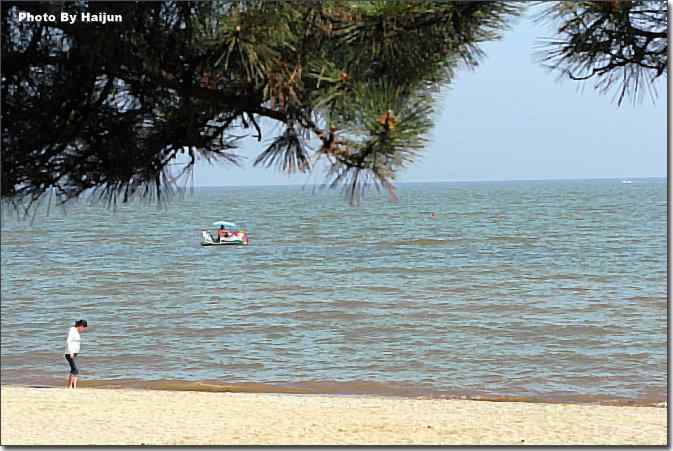  点击图片或使用键盘← →翻页