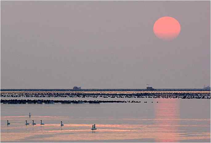 点击图片或使用键盘← →翻页