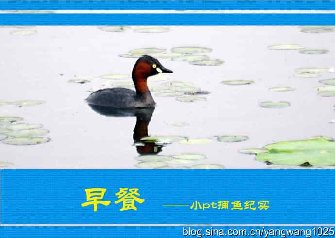 早餐 wbr鈥斺斝t捕鱼纪实