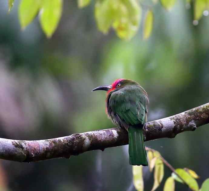 这二货是喝醉了 wbr还是关二爷穿越 这二货是喝醉了 wbr还是关二爷穿越