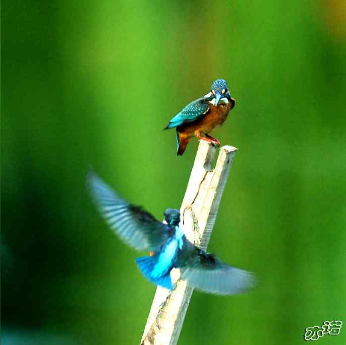 圆明园&nbsp;wbr路&nbsp;wbr我的地盘听我的