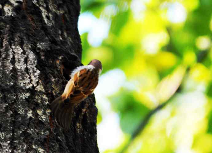 准备过冬（记实）