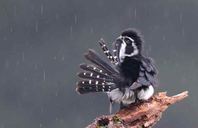 初冬婺源一日印象