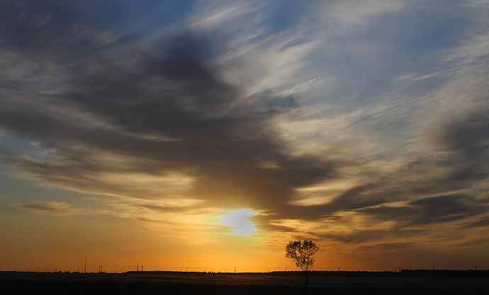 大美盘锦的风光和野鸟 大美盘锦的风光和野鸟