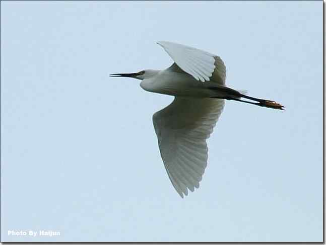  点击图片或使用键盘← →翻页