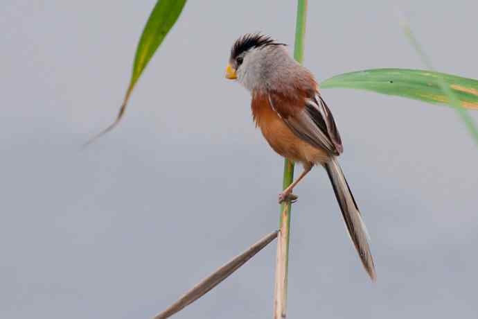 萌态可掬的鈥溦鸬┬∪糕☆★ 萌态可掬的鈥溦鸬┬∪糕☆★