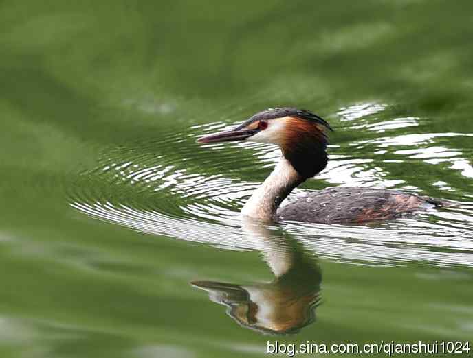 风头(pt)渐渐远去