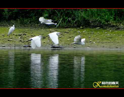 鈥溎袢蒜澋木适澜纭菊掌