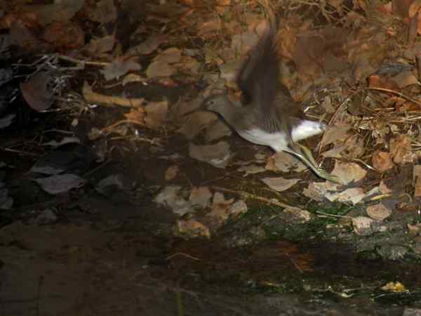 孤独的美丽（组图，17张图片）