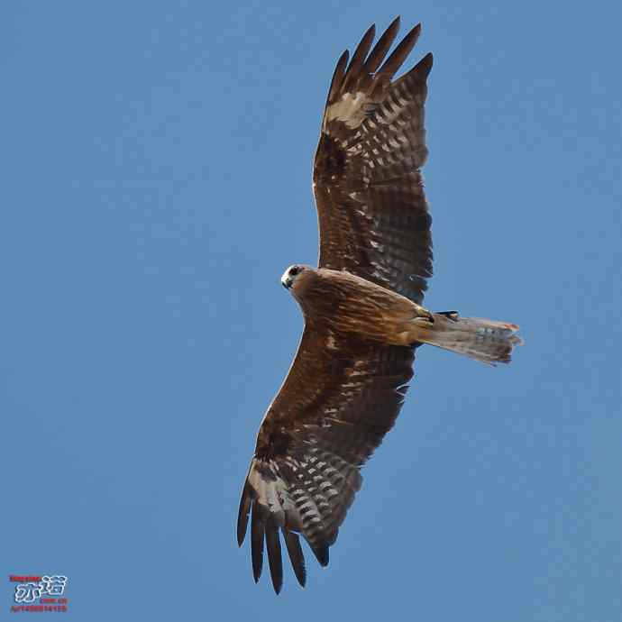 官厅水库 wbr路 wbr金秋十一猛 官厅水库 wbr路 wbr金秋十一猛