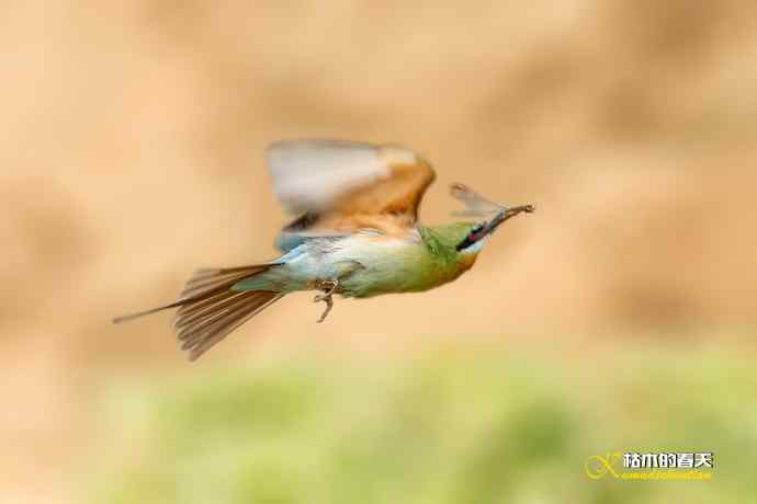 失而复得的鈥溊鹾矸浠⑩