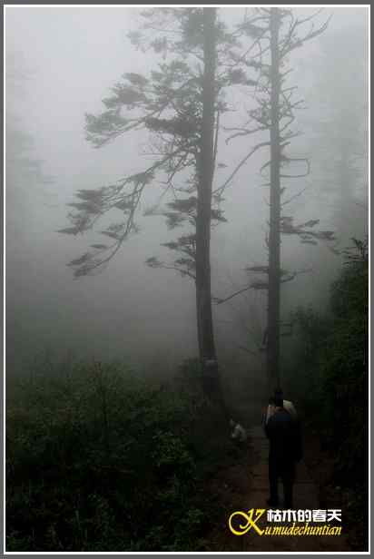 烟雨朦朦的瓦屋高原（瓦屋山系列二）【照片】