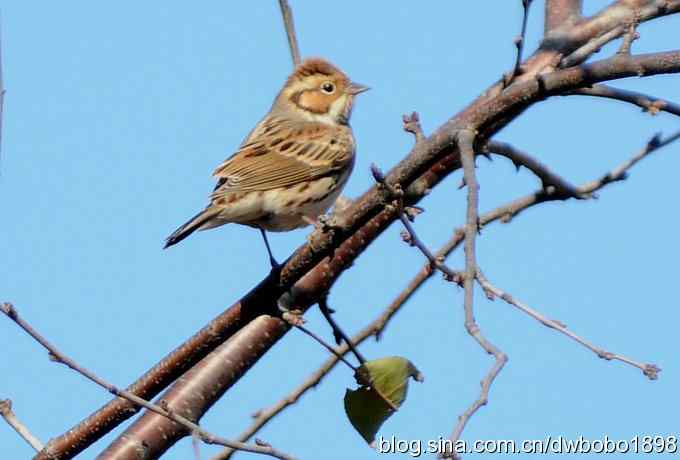秋到白河湾 秋到白河湾