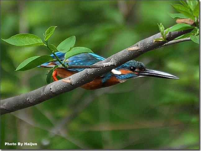  点击图片或使用键盘← →翻页