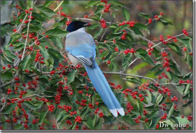 点击图片或使用键盘← →翻页