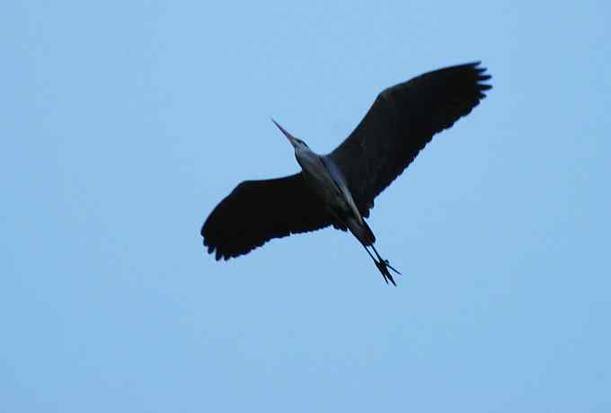 白河峡谷三月雪