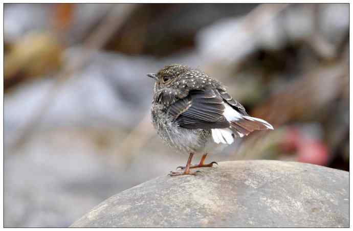 【I 'd never find a love like this】（父爱如山）