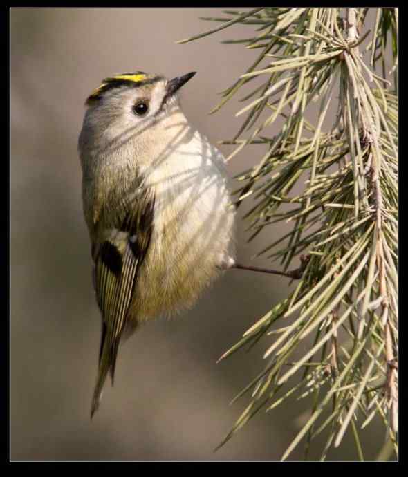 点击图片或使用键盘← →翻页 点击图片或使用键盘← →翻页