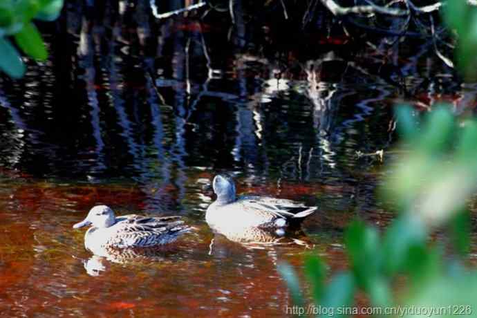 2012 Florida 104 2012 Florida 104