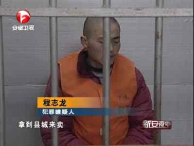 【视频】贩卖国家二级保护动物猫头鹰 男子被抓获