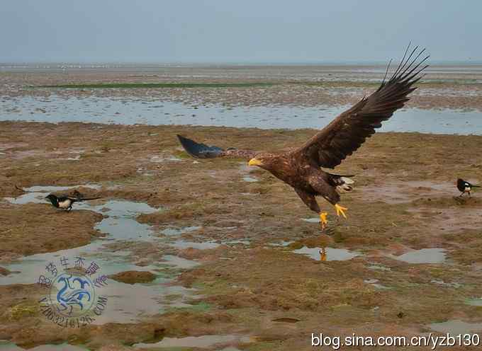 难忘断背山（组图，一个视频，20张图片）