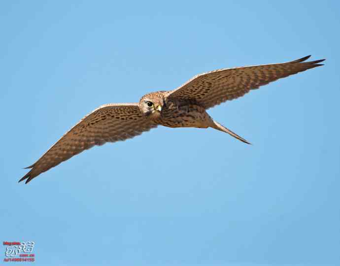 官厅水库 wbr路 wbr金秋十一猛 官厅水库 wbr路 wbr金秋十一猛