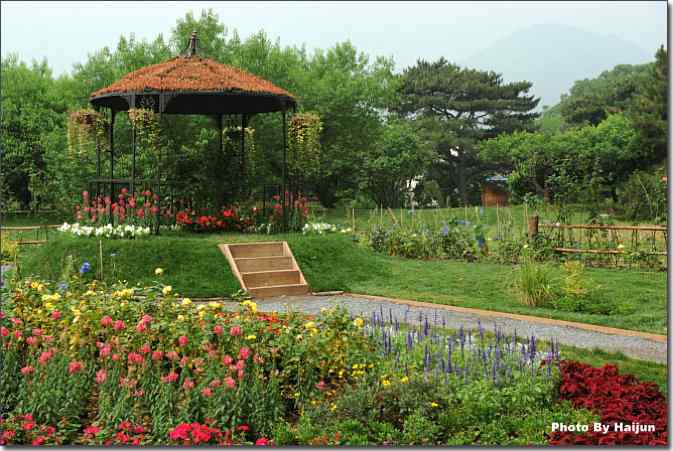  点击图片或使用键盘← →翻页