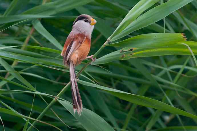 萌态可掬的鈥溦鸬┬∪糕☆★ 萌态可掬的鈥溦鸬┬∪糕☆★