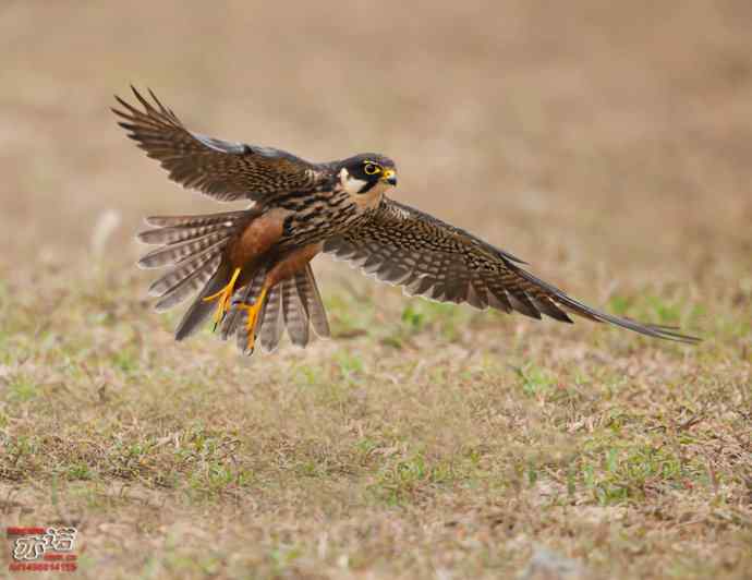官厅水库 wbr路 wbr金秋十一猛 官厅水库 wbr路 wbr金秋十一猛