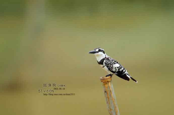 呼朋唤友鈥斺敯哂婀