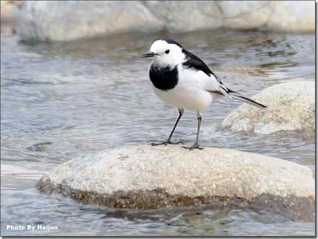  点击图片或使用键盘← →翻页