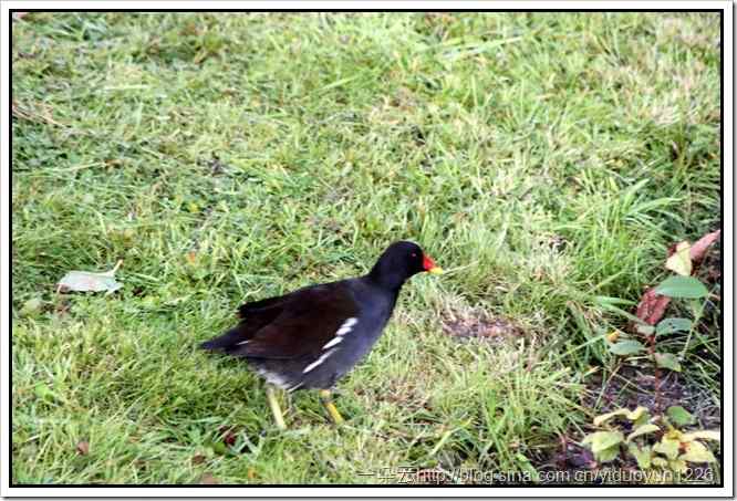 20111023-459_thumb1 20111023-459_thumb1