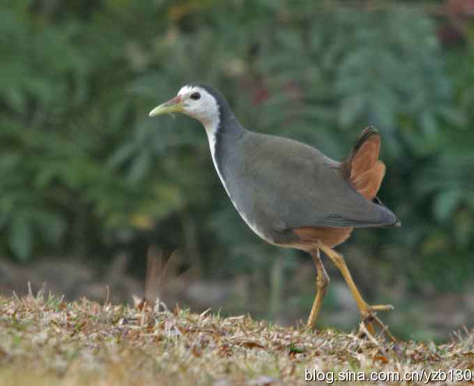 个人清晰版鈥湴仔乜喽衲疋潱ㄗ橥迹 个人清晰版鈥湴仔乜喽衲疋潱ㄗ橥迹