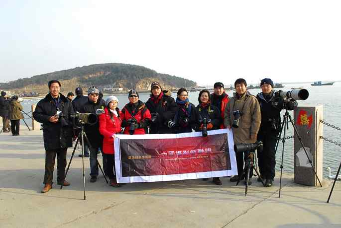 新年&nbsp;wbr路&nbsp;wbr在烟墩角与天鹅亲密对话