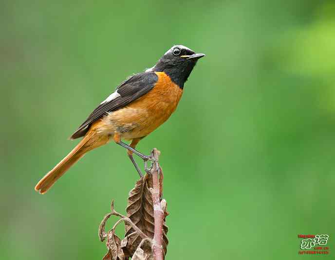 宝宝，回家吃饭啦！