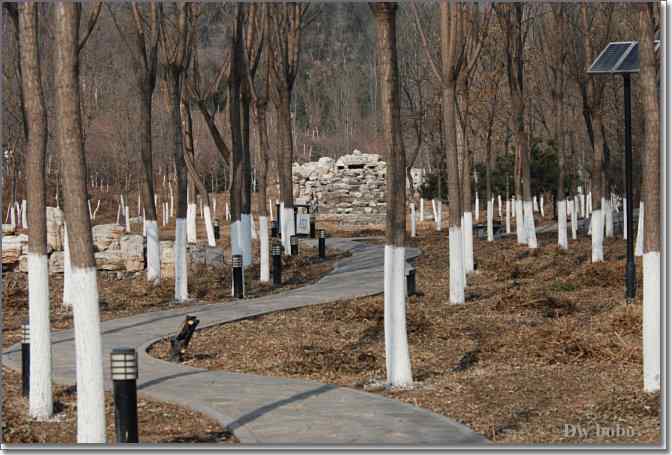 点击图片或使用键盘← →翻页