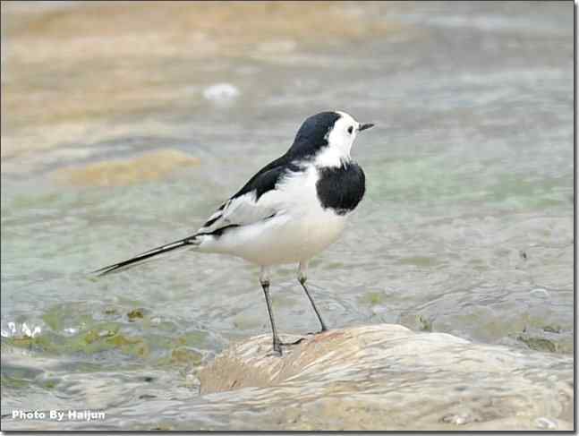  点击图片或使用键盘← →翻页