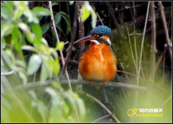 拍鈥湸淠疋澕恰菊掌