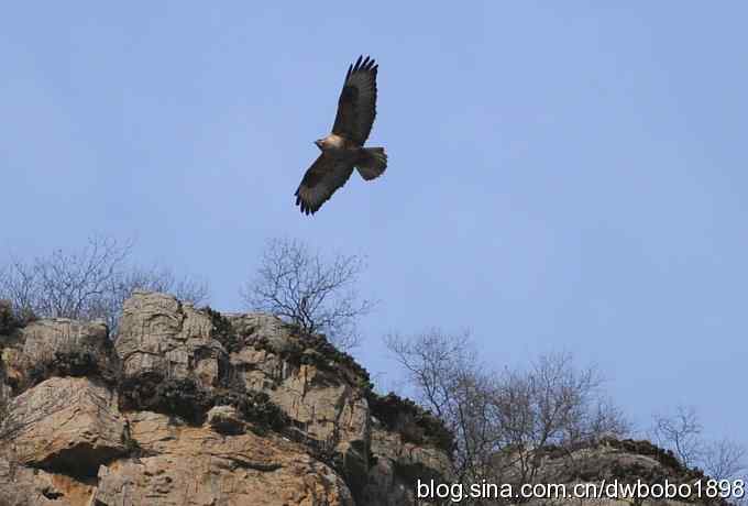山光悦鸟性 wbr偶心竞翔飞 山光悦鸟性 wbr偶心竞翔飞