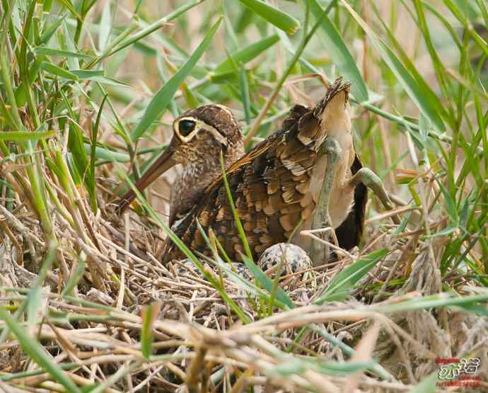 敬畏生命 敬畏生命