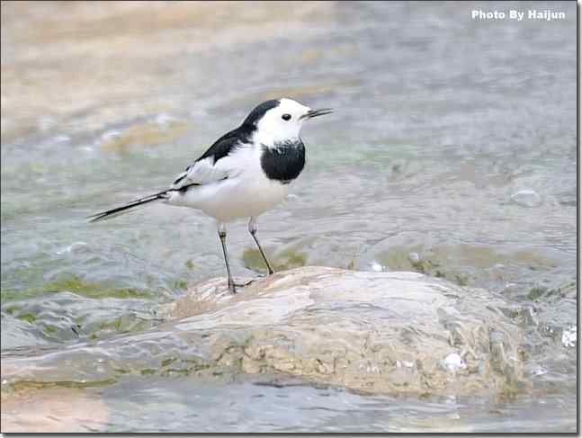  点击图片或使用键盘← →翻页