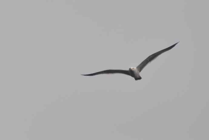 20100505当日总结