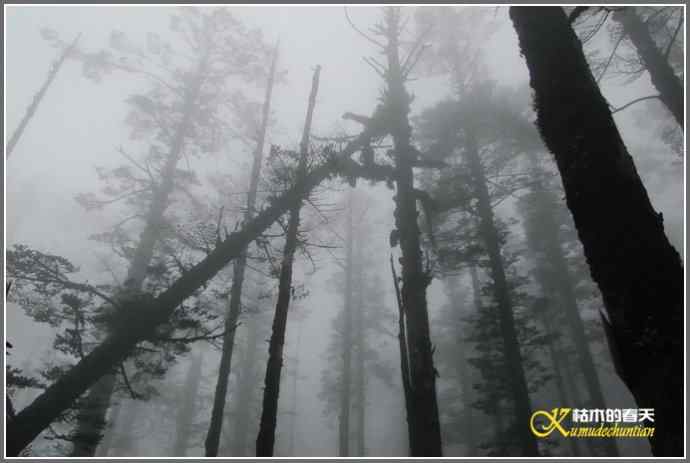 烟雨朦朦的瓦屋高原（瓦屋山系列二）【照片】